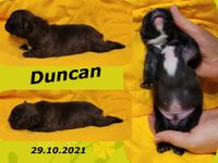 Duncan1