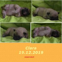 Clara-Nala